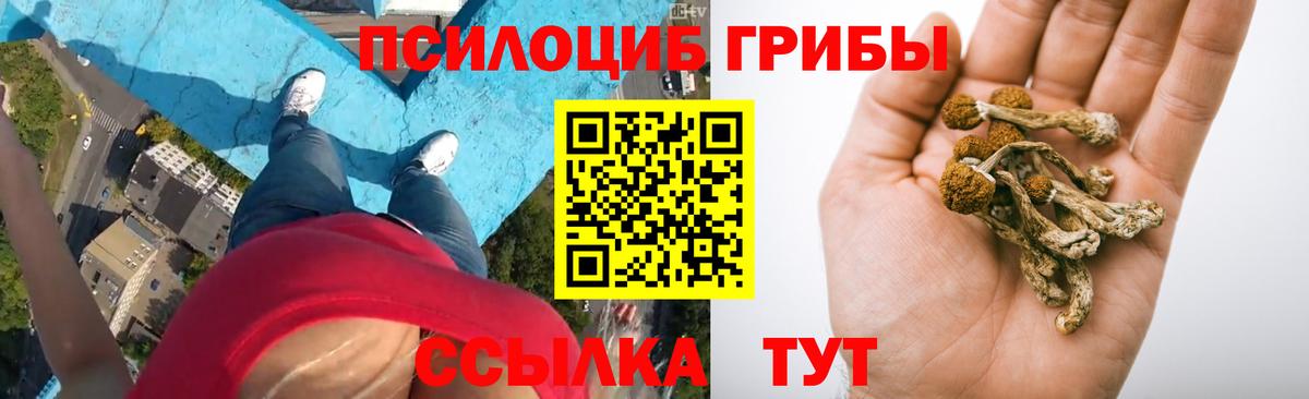 Галлюциногенные грибы Magic Shrooms  Вход с VPN  Псилоцибиновые грибы Psilocybe  Ростов Великий 